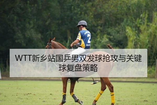 WTT新乡站国乒男双发球抢攻与关键球复盘策略